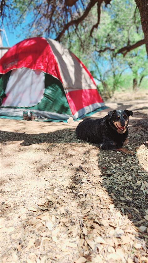 Image result for Camping Microframework