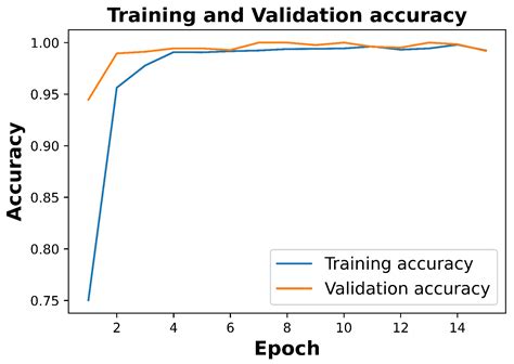 Exploring the Capabilities of a Lightweight CNN Model in Accurately ...