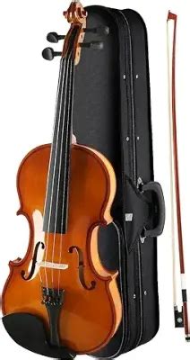 15 Best Violins In India: Price & Comparison [August, 2024]