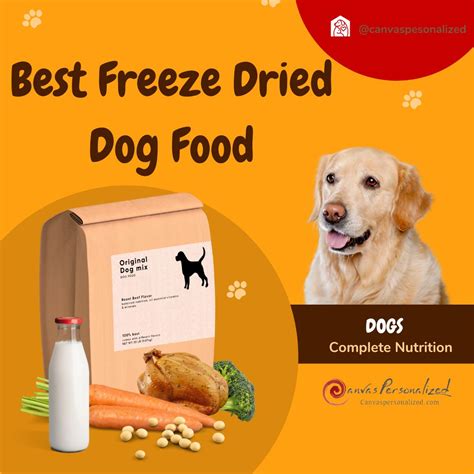 12 Best Freeze Dried Dog Food Your Furry Friend Will Adore