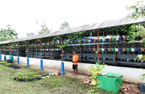 Dina Oinam: Manipur's 'Waste to Wealth' agripreneur builds green economy