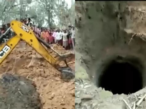 Authorities Rescue Elephant Calf From Well 15 Feet Deep
