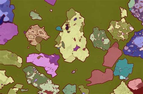 Image result for Autoscript Tem