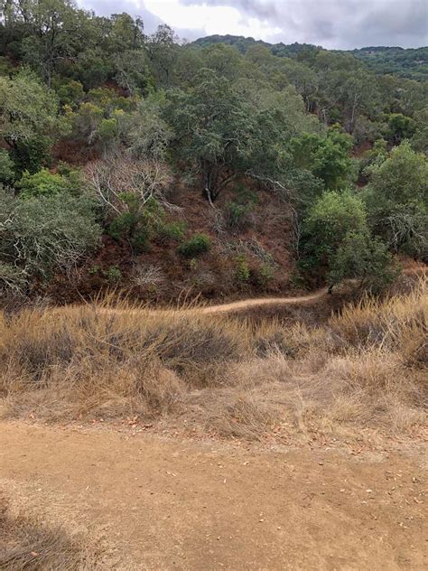 Almaden Quicksilver County Park – Roadside Secrets