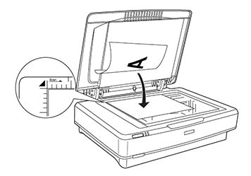 Using Epson Scan 的图像结果