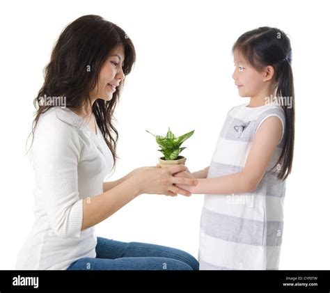 Asian mother and daughter taking care of plant Stock Photo - Alamy