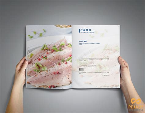 食品画册设计思路|食品公司产品手册设计-花生品牌设计