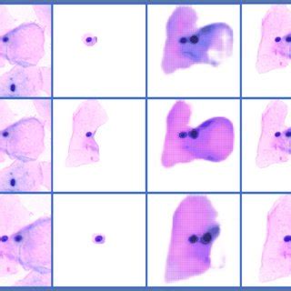 Image result for Overlapping Memory Segmentation
