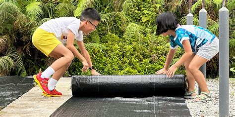 Image result for Planting Saplings Tutorial