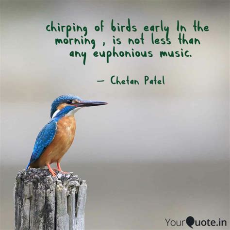 Best chirping Quotes, Status, Shayari, Poetry & Thoughts | YourQuote