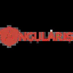 Image result for AngularJS Logo