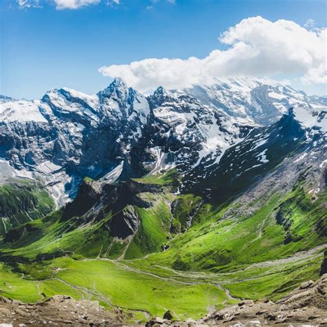 Buy Yeele 10x10ft Vinyl Photography Background Spring Scene Snow ain ...