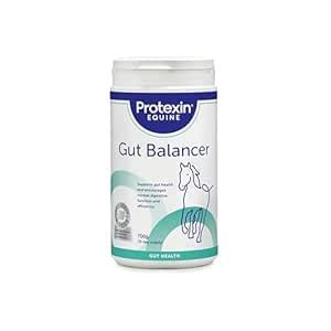 Protexin Equine Premium Gut Balancer 700 G : Amazon.in: Pet Supplies