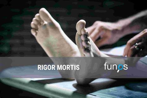 Qué es el rigor mortis - Funos - Comparador de Funerarias