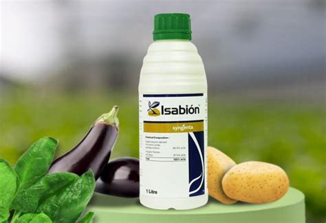Isabion | Syngenta