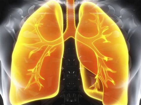 Management of Interstitial Lung Disease