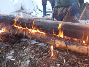 Image result for Long Log Fire