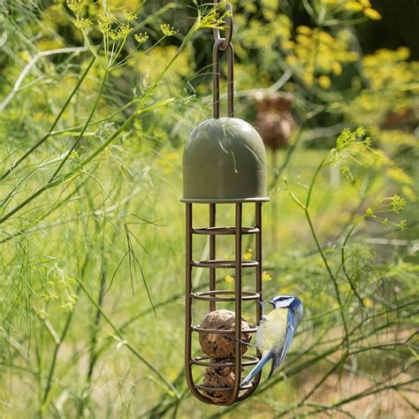 Buy Tree hanging fat ball feeder - Crocus green: Delivery by Waitrose ...