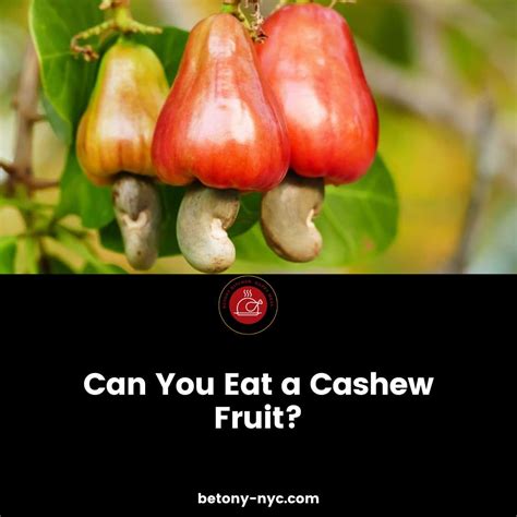 Can You Eat a Cashew Fruit? What Does It Taste Like?