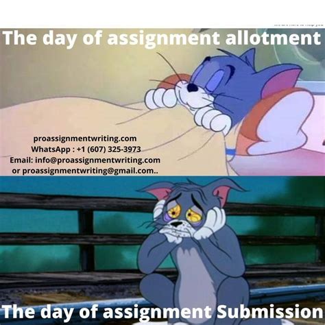 Image result for Assignment Complete Meme
