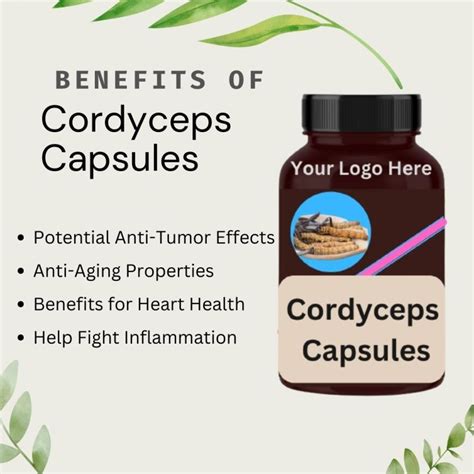 Cordyceps Capsules Supplier,Wholesale Cordyceps Capsules Supplier from ...