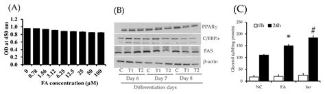 Ferulic Acid Stimulates Adipocyte-Specific Secretory Proteins to ...