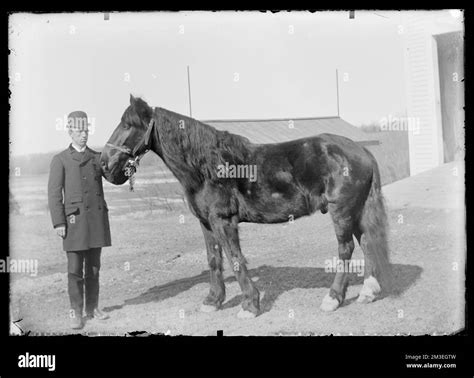 Man and horse , People. Hingham Public Library Glass Slide Collection ...