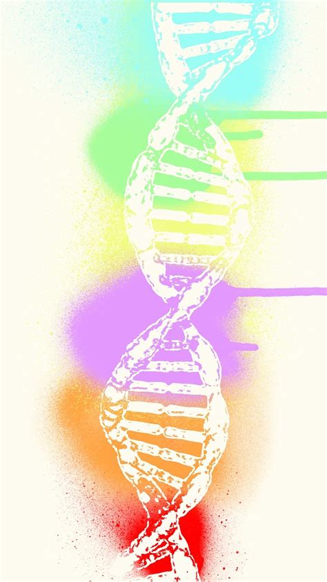 Image result for ADN Video Explicative