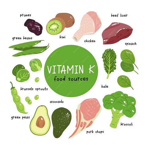 Premium Vector | Vitamin k vector stock illustration Food products with a high content of the ...
