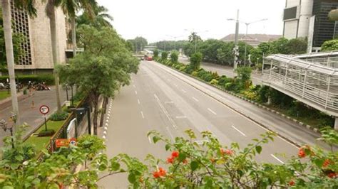 Image result for Walk Ramp Side View