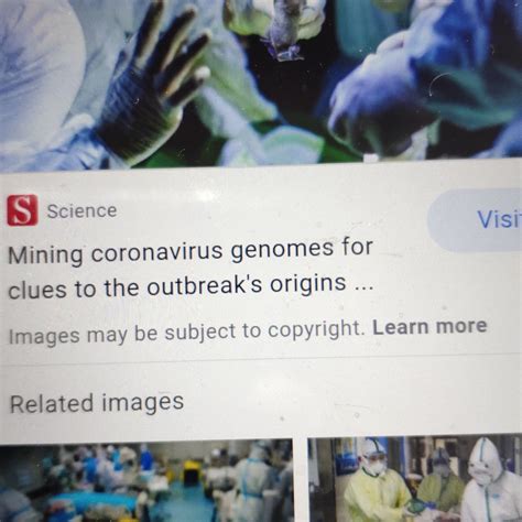 PAWANKHIND HOLIDAY RESORT (Amba, Maharashtra) - Specialty Hotel Reviews ...