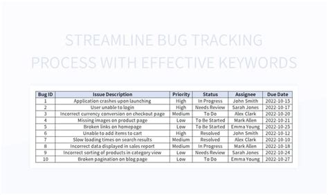 Image result for Bug Report Example Excel