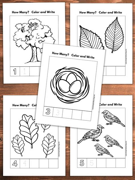 Image result for Learning Numbers Worksheets