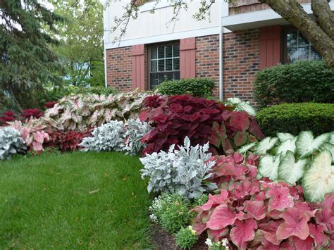 21 Shade Perennial Flower Garden Design Ideas You Must Look | SharonSable