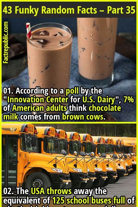 Image result for Random Facts List