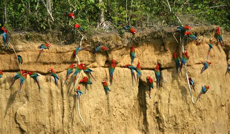 Conservation 的图像结果