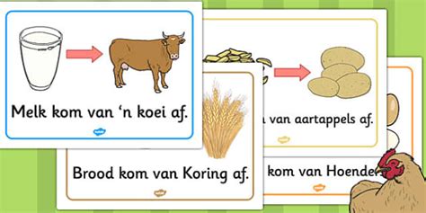 Afrikaans 'Waar kom kos vandaan?' Plakkate (teacher made)