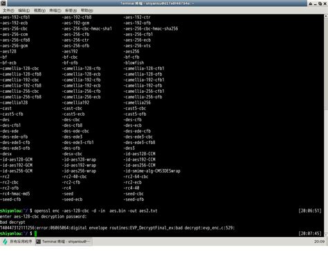 AES Session Key 的图像结果