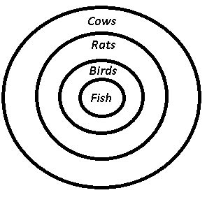 [Solved] Statements : All fishes are birds. All birds are rats. All ...