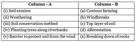 Soil Erosion And Conservation - 1 Class 5 Worksheet Science