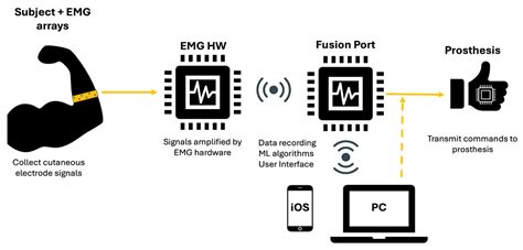 Assessment of Gesture Accuracy for a Multi-Electrode EMG-Sensor-Array ...