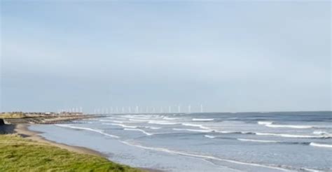 Britanski naučnici: Pomor kraba na severoistoku Engleske verovatno nije ...