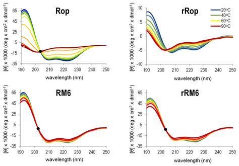 Probing Protein Folding with Sequence-Reversed α-Helical Bundles