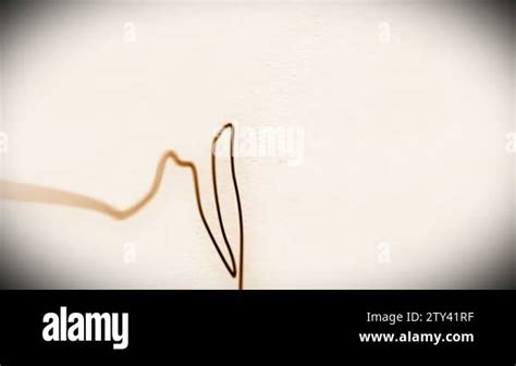 Image result for Temporal Bone Mastoid Process