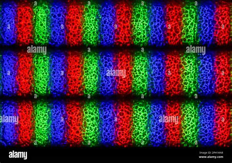 RGB LED Diode 的图像结果