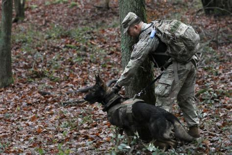 First full-scale missing prisoner exercise held by only U.S. military ...