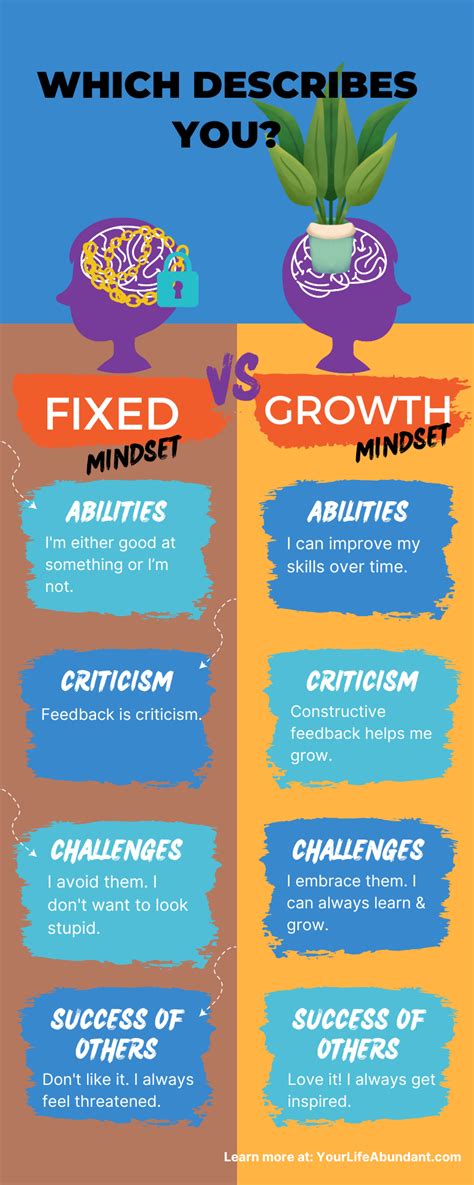 Mindset Types 的图像结果