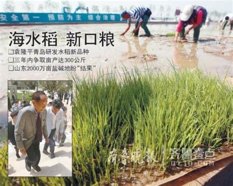 袁隆平谈“海水稻”：未来8到10年在中国发展到1亿亩_新闻中心_中国网