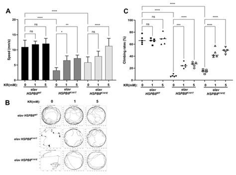 PINK1 and Parkin Ameliorate the Loss of Motor Activity and ...