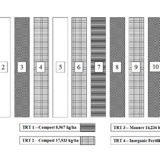 Image result for Completely Randomised Design Plot Layout
